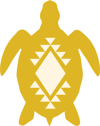 Asset 3turtle pattern