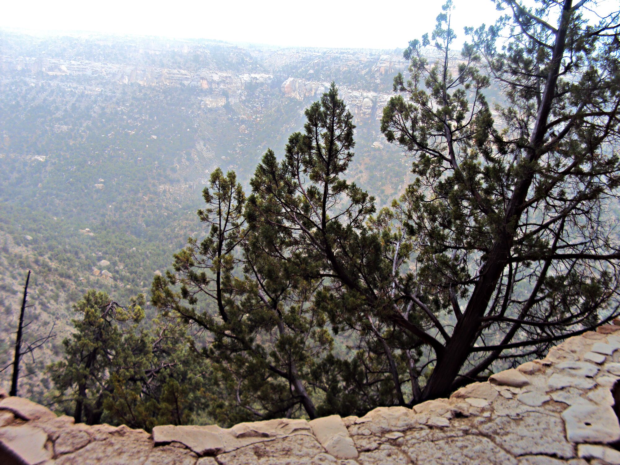 Once I stepped into the plaza area I beheld the beautiful view before me. The entire canyon was shrouded in a mist that made the whole landscape seem serene. Most visitors come to the park during the hottest time of the year. A cliff dwelling in the summer has a feeling of movement as you imagine the people working, dancing, and living. Seeing it like this was made everything seemed slow and calm, like the world was at rest.
