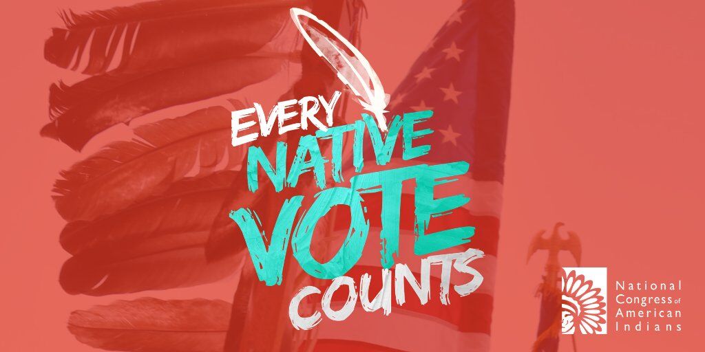 Every Native Vote Counts