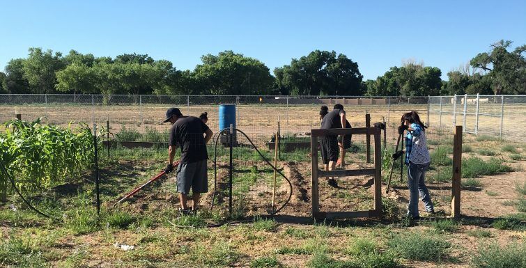Gardening at the Southwestern Indian Polytechnic Institute
