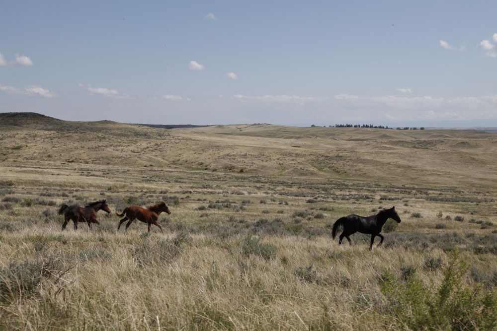 Native American Lands Why Give An Indigenous Land Acknowledgment (and How to Make It Matter) 