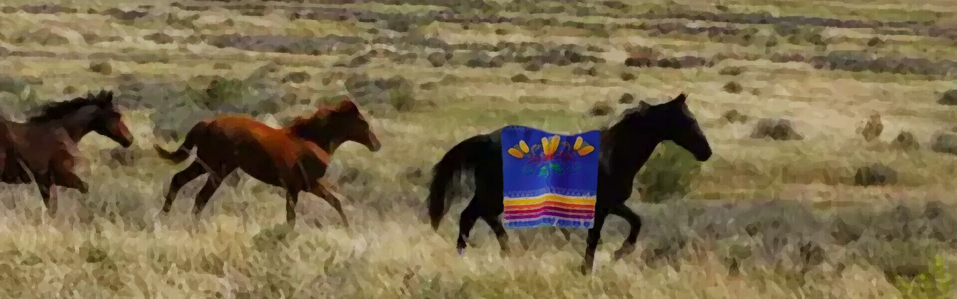 MMIW-featured-image-2 (1)
