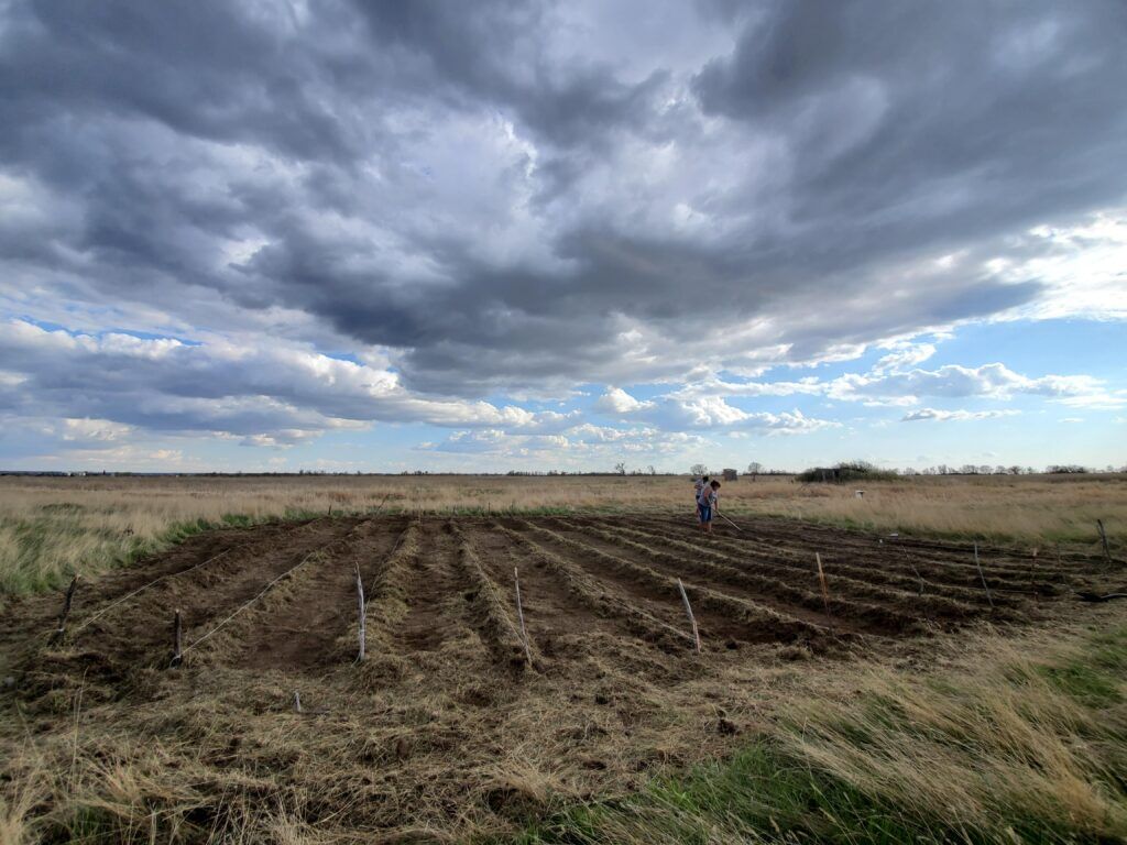 Family Cooperative Farm, Poplar, Montana-min