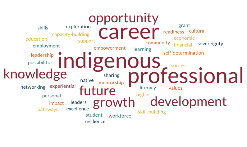 student professional development grant word cloud v2