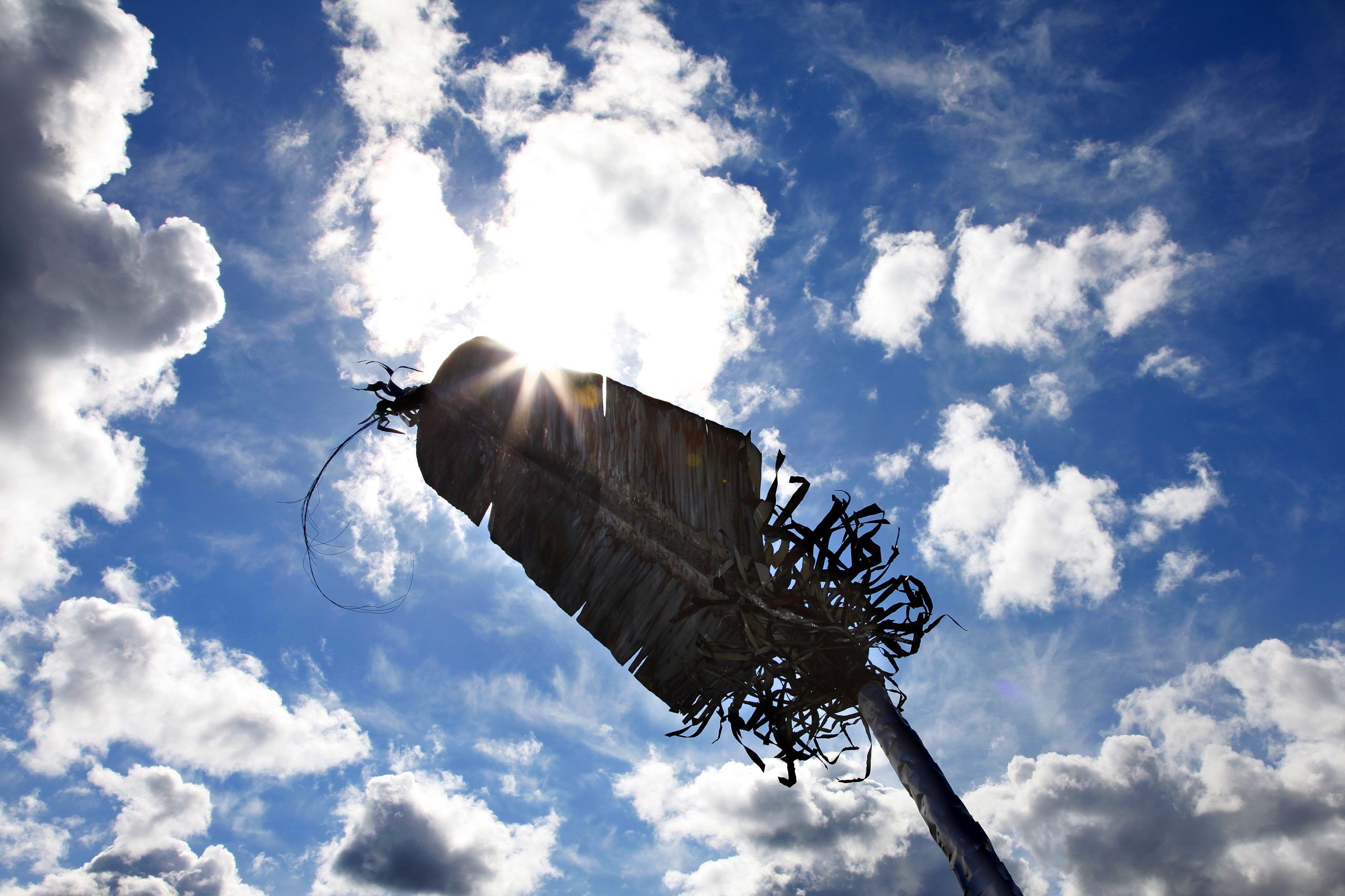 The Dennis and Phyllis Washington Foundation Renews Commitment with $10,000 Gift