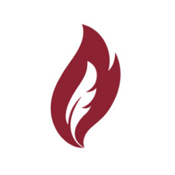 flame logo