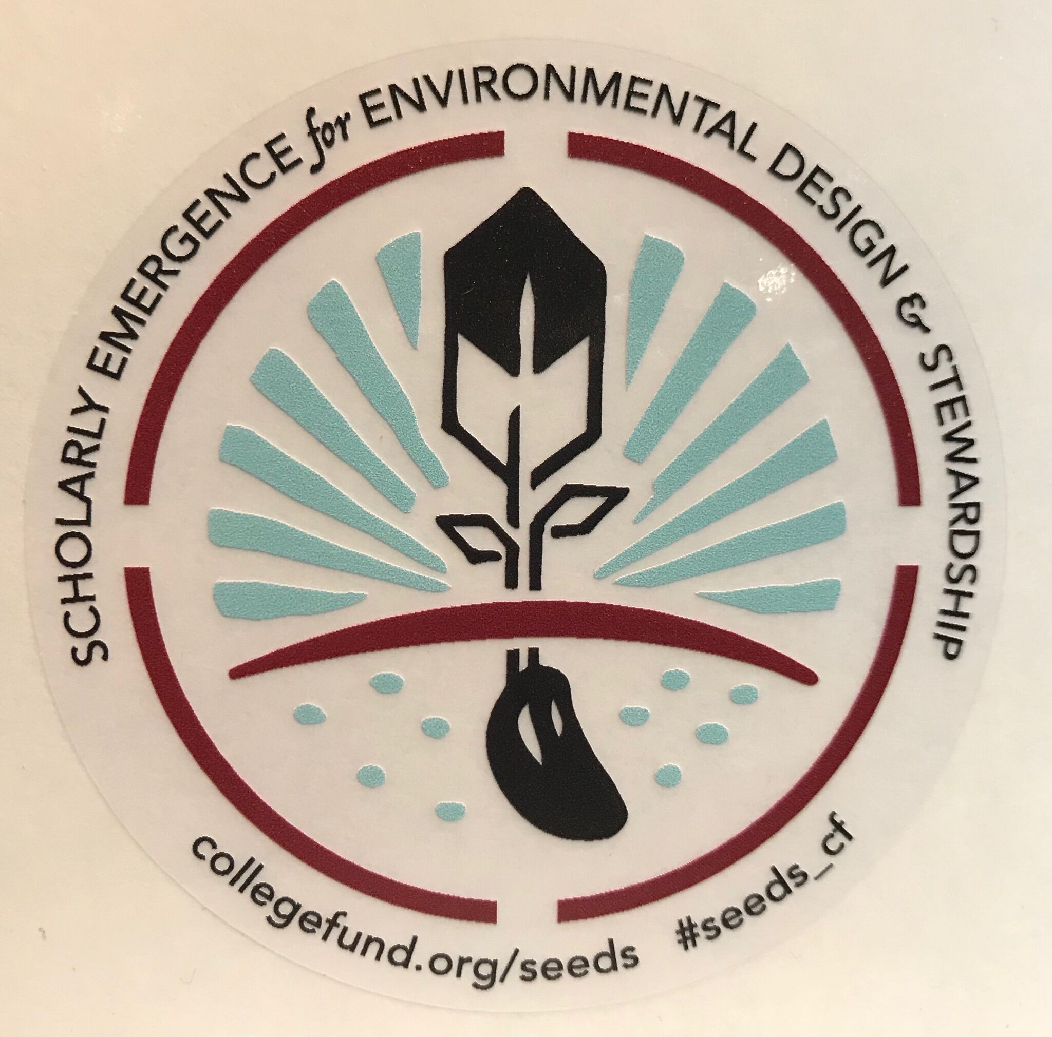 The SEEDS logo embodies a lot of symbolism – from the seed representing the hope of good things to come, to the circle with four quadrants representing the four stages of life and growth.