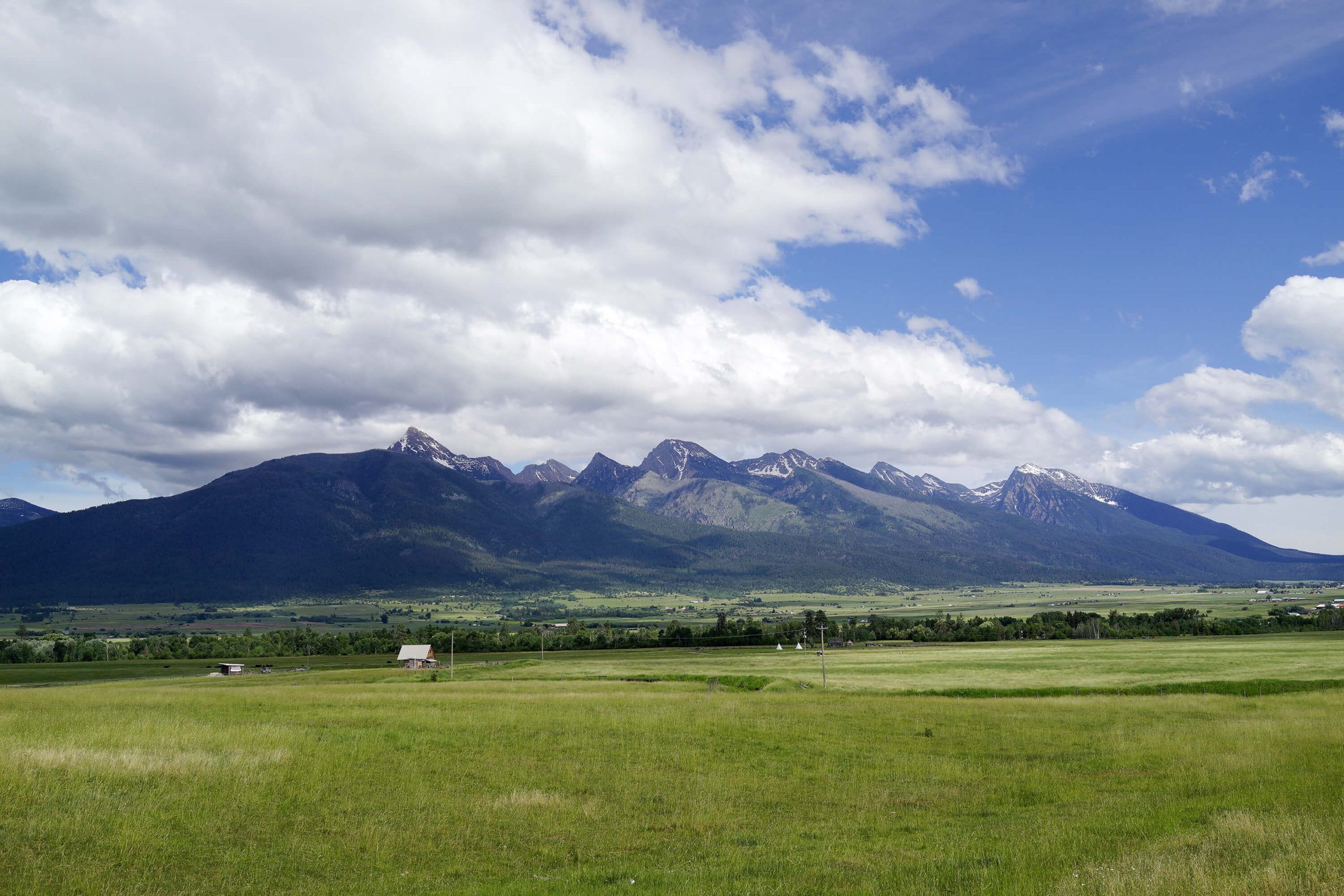 Native Landscapes
